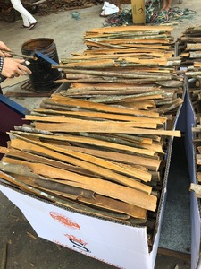 SPLIT CASSIA CINNAMON STICK BEST QUALITY Dried Raw Natural Vietnam Export <b>Gap</b>/GMP/HACCP/KOSHER Certified 20kg Dried Sun Phalco - Product Image 1