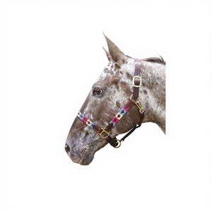 Cabestro de Cuero Negro-Marrón NIDA con Herrajes de Latón para Montar a Caballo y Uso Ecuestre - Product Image 1