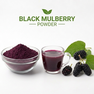 Poudre de mûre noire de haute qualité, poudre de fruits naturelle, fournisseur en gros, fabricant, exportateur, Inde - Product Image 3
