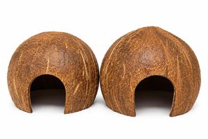 Nichoir écologique en coquille de noix de coco naturelle fabriqué au Vietnam – Cachette pour hamster, perroquet et petits animaux - Product Image 2