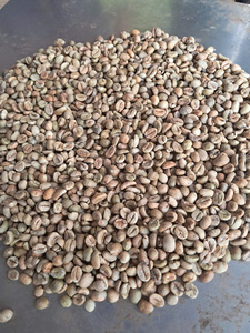 เมล็ดกาแฟโรบัสต้าเวียดนามคุณภาพเยี่ยม รสชาติกลมกล่อม สำหรับชงเอสเพรสโซ  แบบดิบ ไม่ผ่านการคั่ว  บรรจุถุง PP ขนาด 60 กก. สำหรับส่งออกจากเวียดนาม - Product Image 3