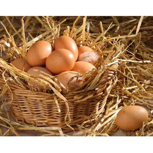 ไข่ไก่สดคุณภาพดีสีน้ำตาล ราคาถูก ไข่ไก่สดจำนวนมาก ไข่ไก่สีน้ำตาล - Product Image 5