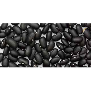 Wholesale High Quality New Organic Purple Dark Black Kidney <b>Beans</b> - Product Image 4