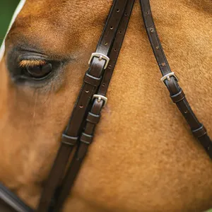 Brida de cuero para caballo estilo inglés de gran venta con cabezada y riendas en negro, marrón, tostado y variedad de colores con servicio OEM - Product Image 5