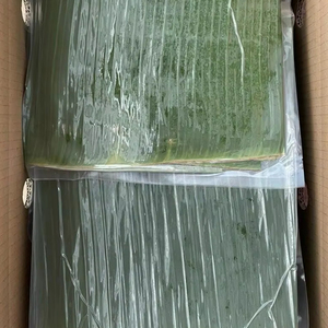 Hojas de Plátano Congeladas de Vietnam, Proveedor de Hojas Verdes Frescas y Naturales para Envasado de Alimentos, Cocción al Vapor y Catering - Product Image 1