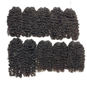 Birmanie bouclée Double dessiné 100% Extensions de cheveux humains vietnamiens tissage cheveux cuticule aligné prix de gros pour les femmes noires - Product Image 3