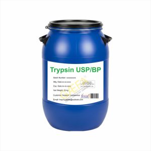 ทริปซิน USP/BP ชนิดผง - Product Image 1