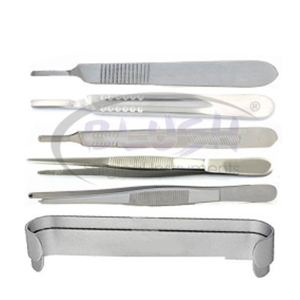 Instrumentos Quirúrgicos Ortopédicos de Alta Calidad a Precio Económico, Juego Básico de Entrega Rápida, Certificado CE por Blush Surgical - Product Image 3