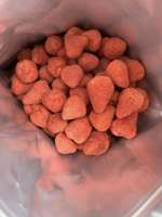 Vietnam Gedroogde Aardbeien Export Kwaliteit Knapperige Fruit Snack Aangepaste Label Privé Merk