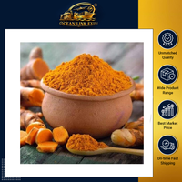 Poudre de curcuma indien premium, épice séchée AD, naturelle, moulue, applications culinaires, usage alimentaire, mélange d'assaisonnement, préparation