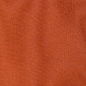 2026 Womens Rust Orange Tank <b>Top</b> Lightweight Casual Vest for Summer Yoga Gym Training and Daily Wear - Product Image 6