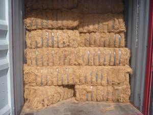 Fibra de Coco Marrón Premium de 5-25 cm |   Fabricante de Vietnam |   Fibra Natural para Colchones, Agricultura y Uso Industrial - Product Image 2