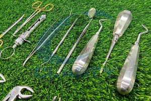 Nuevo Juego de Fórceps Manuales de Acero Inoxidable para Extracción Dental Veterinaria, Certificado CE, Clase I CI-ZS-715 CLASTY INSTRUMENTS - Product Image 3