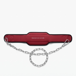 Ceinture d'entraînement réglable avec chaîne pour musculation, ceinture de soutien lombaire en néoprène 9MM pour levée de poids - Product Image 5
