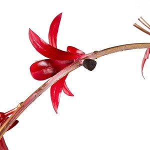 Magnifique couronne de lys en métal rouge avec accents dorés, parfaite pour une décoration de porte élégante et festive ou pour des sculptures murales saisonnières - Product Image 5