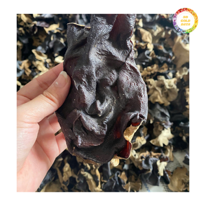 ผลิตภัณฑ์มาตรฐานส่งออกแบบมีขนาดสม่ำเสมอและคุ้มค่า - Product Image 3