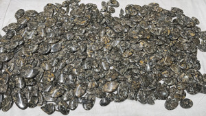 LOT EN GROS DE 5 KG UNIQUEMENT À 755 $ - CABOCHONS DE FOSILES DE TURRITELLA, PIERRES PRÉCIEUSES SÉLÉQUIES, TAILLES ET FORMES ASSORTIES, LIVRAISON GRATUITE - Product Image 4