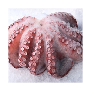 Poulpe frais de haute qualité, à la texture ferme et au goût naturel - Product Image 1
