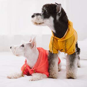 Manteau de pluie imperméable pour chien de créateur avec fentes d'aération, vêtements pour animaux de compagnie - Product Image 3