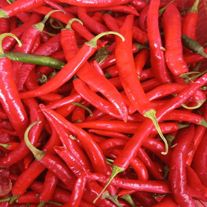 Chile Rojo Entero Indio para Exportación a Granel con Color Intenso, Picantez Auténtica y Aplicaciones Versátiles en la Industria Alimentaria - Product Image 5