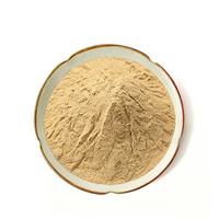 Poudre de racine d'Amla 100% pure en gros sous marque privée, poudre de fruit d'Amla naturelle de haute qualité pour les soins des cheveux et de la peau à prix abordable