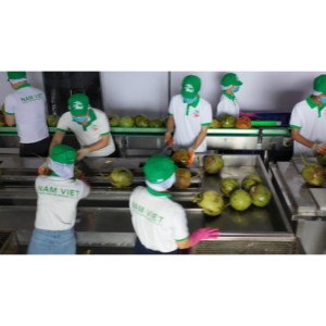 Eau de noix de coco fruit de la passion 330ml eau de coco boisson 24 bouteilles par carton bouteille PET OEM ODM marque privée échantillon gratuit - Product Image 3