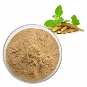 Extrait d'Ashwagandha en vrac 10:1 en poudre, 100% pur et naturel, poudre de racine de Withania Somnifera pour le soulagement du stress et le soutien énergétique - Product Image 3