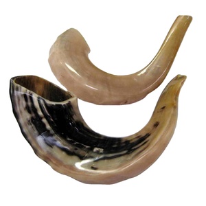 Corne de buffle de bélier naturelle unique pour le soufflage et le but religieux Corne de bélier polie brillante Shofar à bon prix - Product Image 1