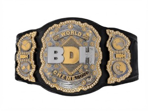 Ceinture de championnat de lutte personnalisée, plaque métallique or et argent, logo personnalisé, ceinture de titre, équipement sportif, ceinture de championnat sur mesure - Product Image 1
