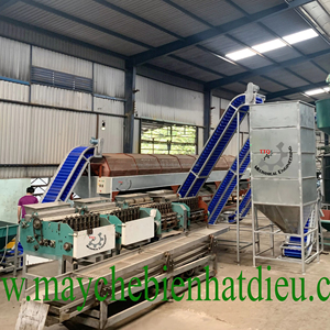 Planta de Procesamiento de Nuez de Cajú 5-100 T/Día Semiautomática para Producción de Nuez de Cajú, Sistema de Acero Inoxidable, Fabricante Vietnam - Product Image 1