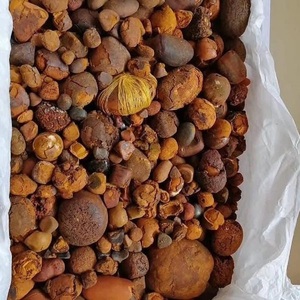 Cálculos Biliares Bovinos/Vacuosos/Porcinos Naturales Puros de Primera Calidad a Precios Competitivos, Proteína de Grado Superior para Aplicaciones Alimentarias, Empaque en Botella de Plástico - Product Image 2