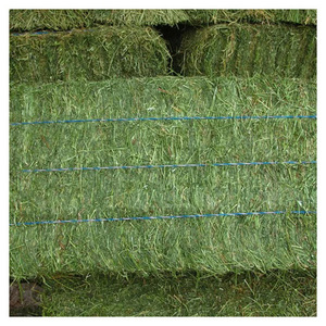 Foin d'alfalfa pour les acheteurs internationaux, balles de foin de qualité supérieure pour l'alimentation du bétail et les marchés agricoles. - Product Image 6