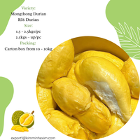 Premium hoogwaardige verse durian uit Vietnam - Kim Minh International merk, stabiele bulklevering voor wereldwijde importeurs