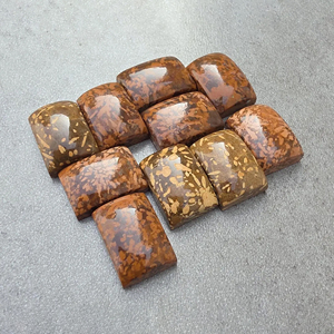 Cabujón de Jaspe Araña Natural, Forma Rectangular, Parte Posterior Plana, Gema Calibrada para Joyería - Product Image 1