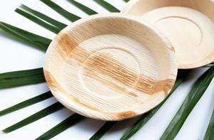 Premium Look Outdoor Catering <b>Plates</b> 7 Inches Round Shapes Palm Leaf Durable Party & Pasta <b>Plates</b> <b>Disposable</b> Dinnerware <b>Plates</b> - Product Image 1