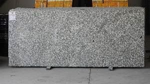 Granito blanco S de acabado premium, duradero y pulido, moderno, para aeropuertos, estaciones de tren, hoteles, villas, apartamentos y edificios de oficinas. - Product Image 3