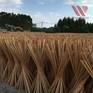 เครื่องผลิตด้ามไม้ธรรมชาติจากเวียดนามสำหรับทำไม้กวาด ด้ามไม้ถูพื้น และอุปกรณ์ทำความสะอาด พร้อมเกลียวแบบอิตาลี - Product Image 3