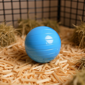 ลูกบอลออกกำลังกายทอมมี่ 12 ซม. สำหรับอุปกรณ์เสริมกรงหนูแฮมสเตอร์ - Product Image 3