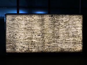 Revestimiento de Piedra Flexible Translúcido Forest Fire, Bloques de Piedra Duraderos y Ecológicos para Decoración Interior y Exterior de Escuelas y Villas en India - Product Image 5