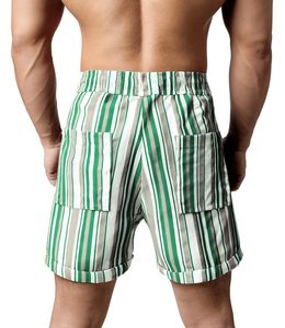 Men Swim <b>Shorts</b> Tropical Print Elastic Waist Drawstring Beach Casual Summer Holiday Colorful Lightweight top mens summer beach - Product Image 2