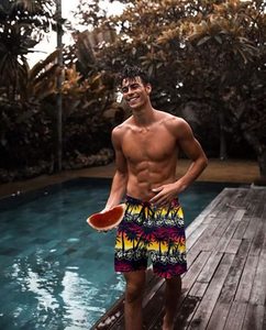 Shorts pour hommes à imprimé tropical, taille élastique avec cordon de serrage, pour la plage, l'été, la natation, les loisirs et les vacances, coloré, blanc, haut de gamme, chemise d'été pour hommes - Product Image 3