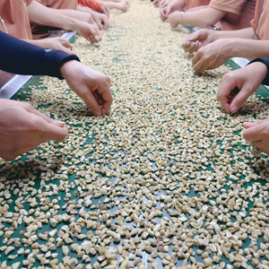 Factory Direct Cashew <b>Nuts</b> Broken Vietnamese Cashew <b>Kernels</b> Kaju SANTIGO Caju Short Leadtime - Product Image 6