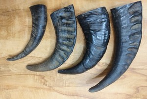 Artisanat en corne de buffle naturelle de haute qualité, écologique, prêt à l'exportation, sculpté à la main, personnalisé, 100% style animalier, en vente - Product Image 2