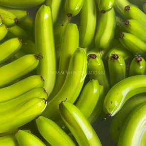 Bananes vertes du Vietnam de qualité supérieure pour le marché mondial - Product Image 4