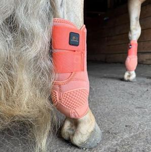 BRAND ZONE Protège-tendons en néoprène pour chevaux, ensemble de 4 protections pour les jambes, comprenant deux protections avant et deux protections arrière - Product Image 3