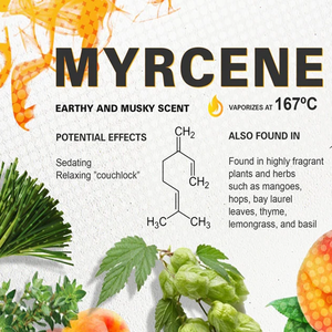 Myrcène aromatique naturel de haute qualité, 98 % pur, pour l'industrie des parfums, des arômes et des cosmétiques, fournisseur en gros OEM ODM - Product Image 3