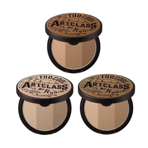 TOO COOL for SCHOOL ARTCLASS di RODIN MINERAL CONTOURING SHADING - Product Image 5