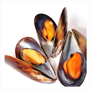 Mejillones frescos congelados, mariscos secos al por mayor, carne de mejillón de concha verde - Product Image 2