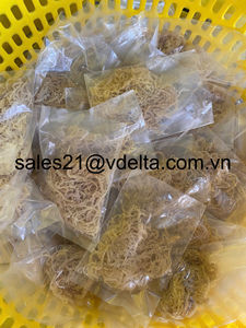 Mosture 10% - 35% Dried Purple Sea Moss/ Wildcrafted Sun Dried Irish Sea Moss/ Ms. Lima - Product Image 5