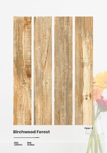 Carrelage en porcelaine imitation bois de bouleau, finition mate, 200*1200mm - Product Image 2
